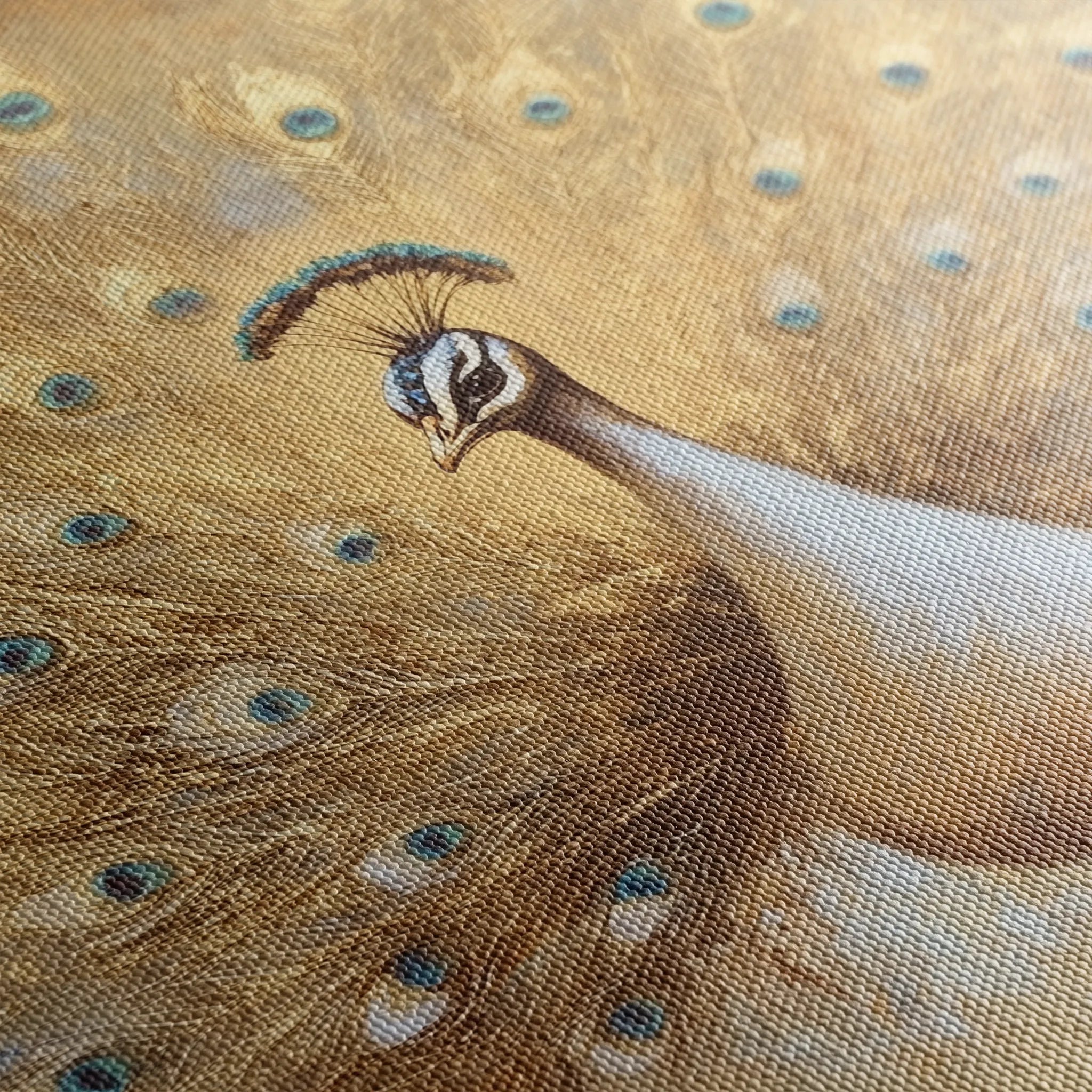 Animals 016 Canvas Art 18" x 24" / 45 x 60 cm / Black