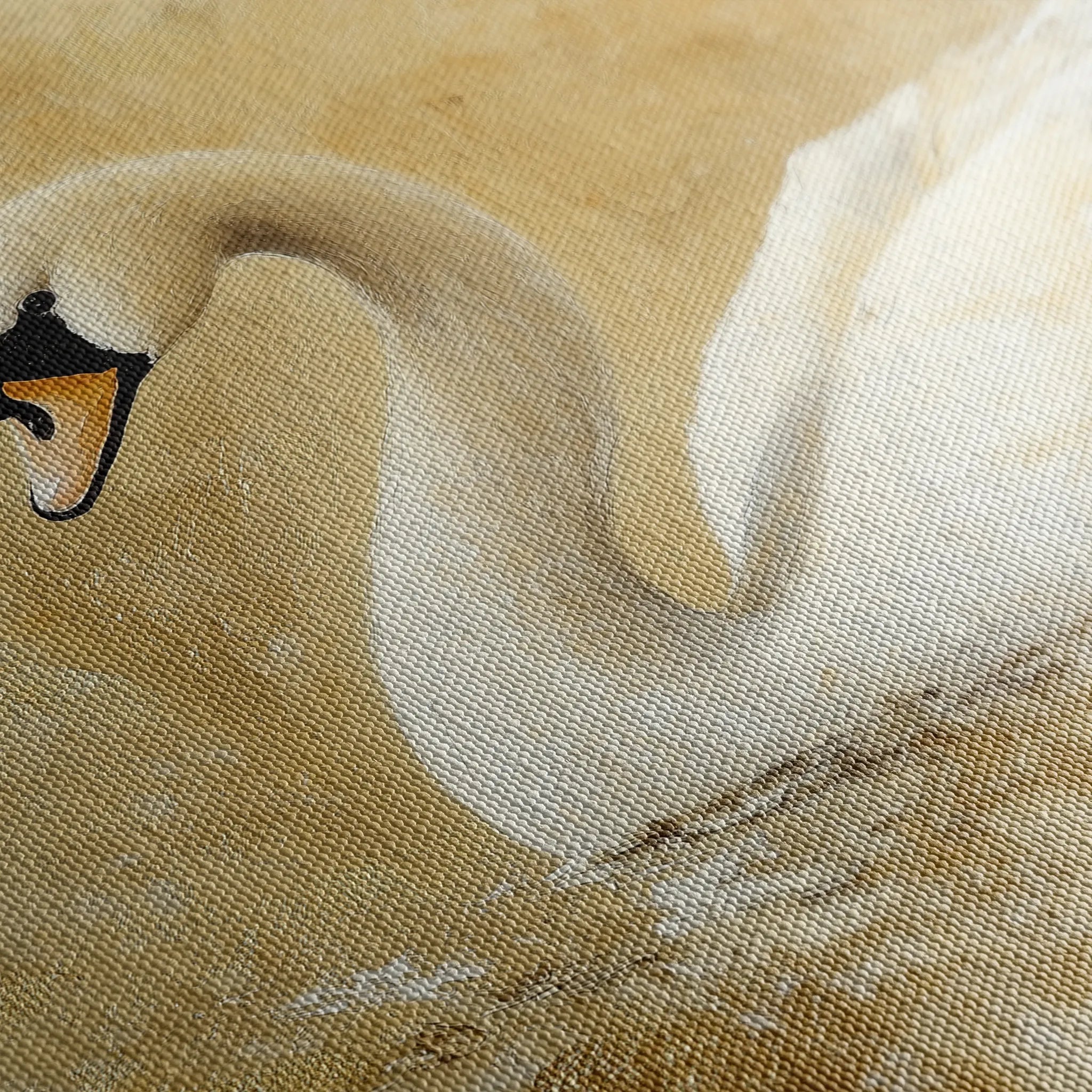 Animals 036 Canvas Art 18" x 24" / 45 x 60 cm / Black