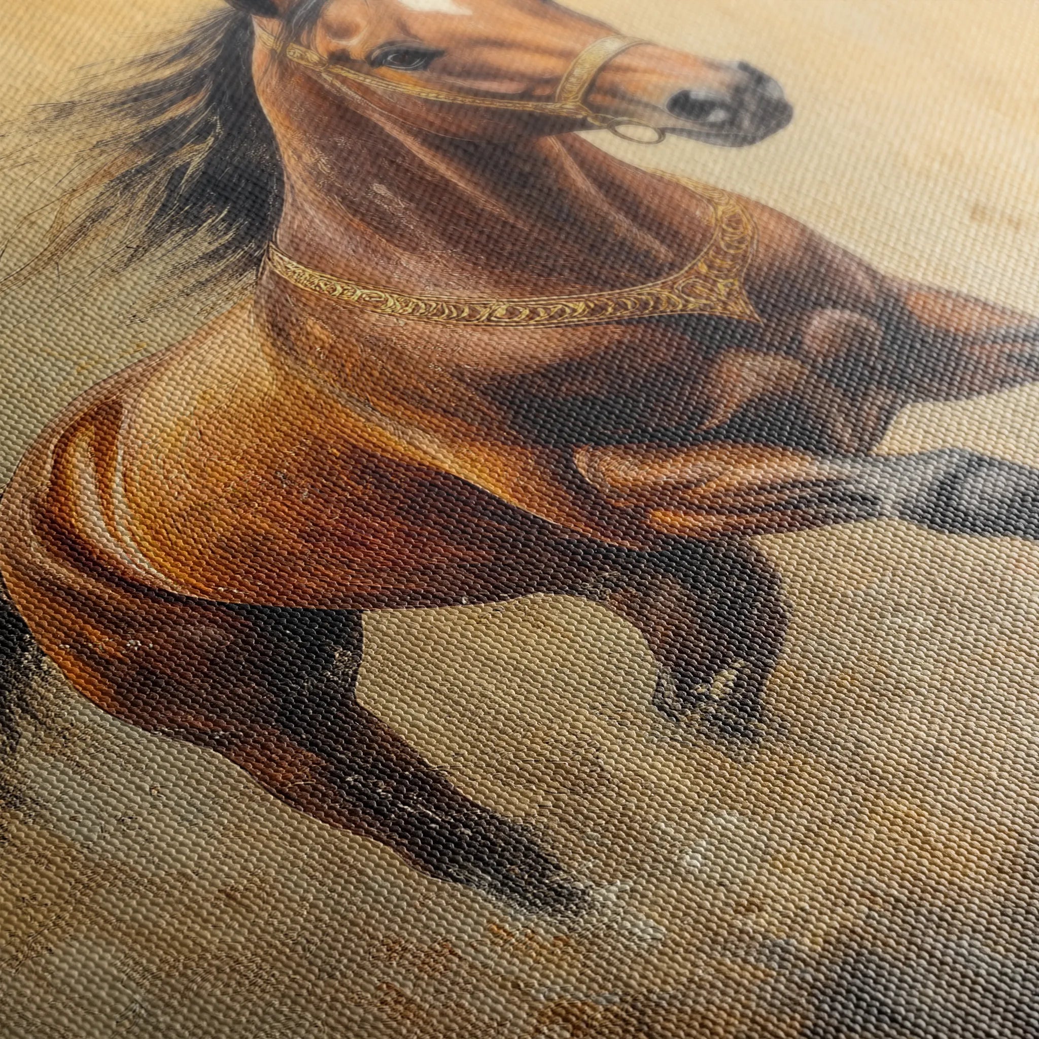 Horses 052 Canvas Art 18" x 24" / 45 x 60 cm / Black
