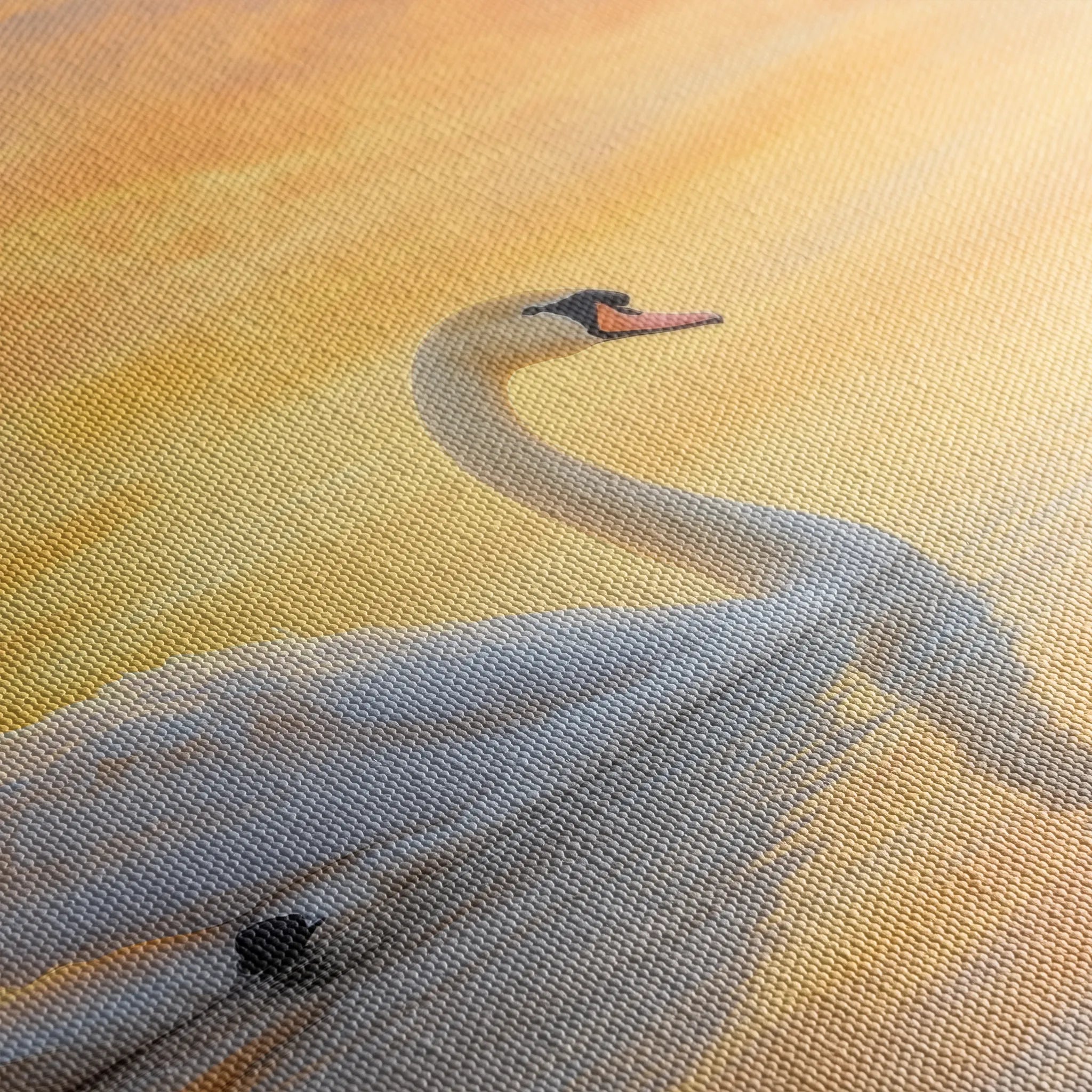 Animals 113 Canvas Art 18" x 24" / 45 x 60 cm / Black