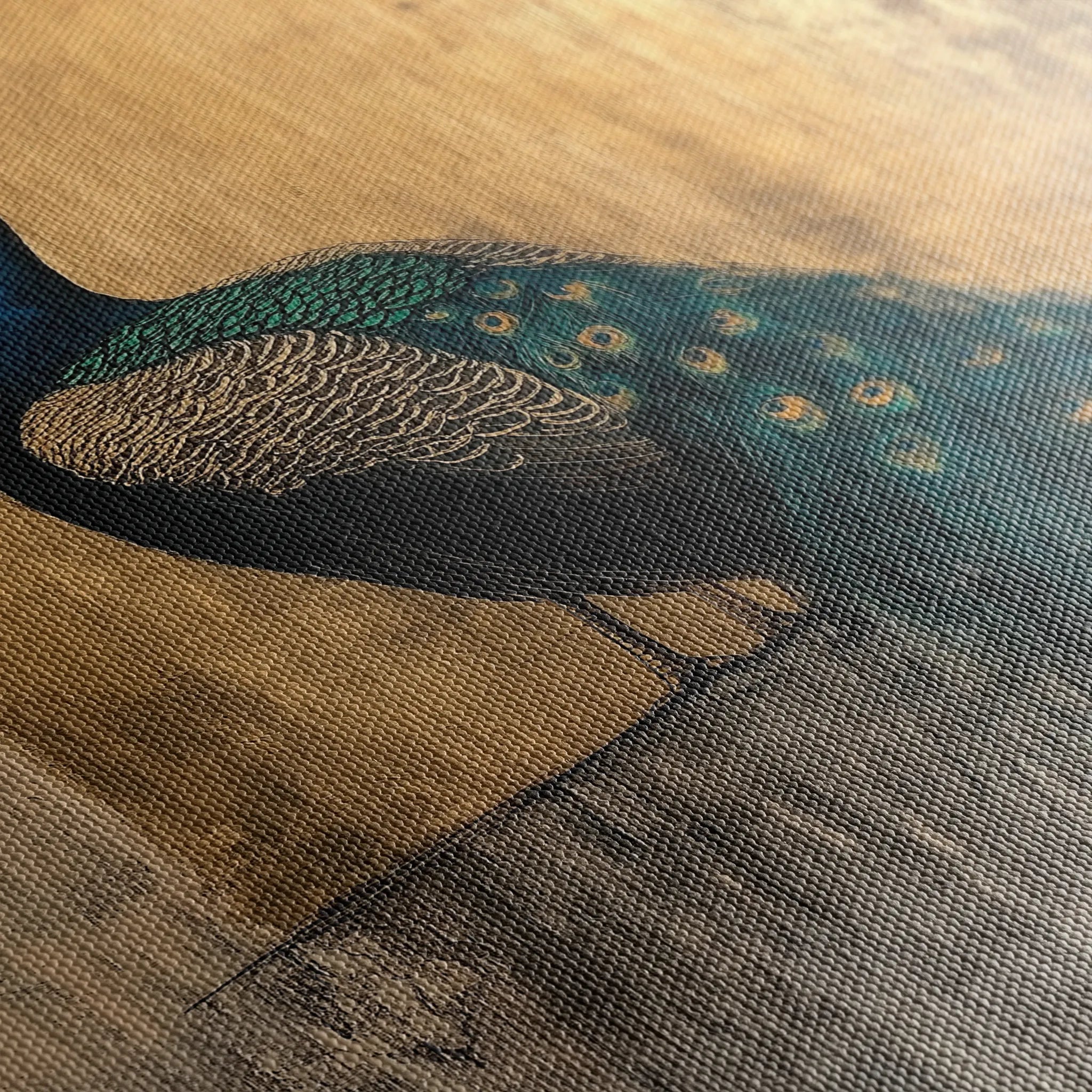 Animals 160 Canvas Art 18" x 24" / 45 x 60 cm / Black