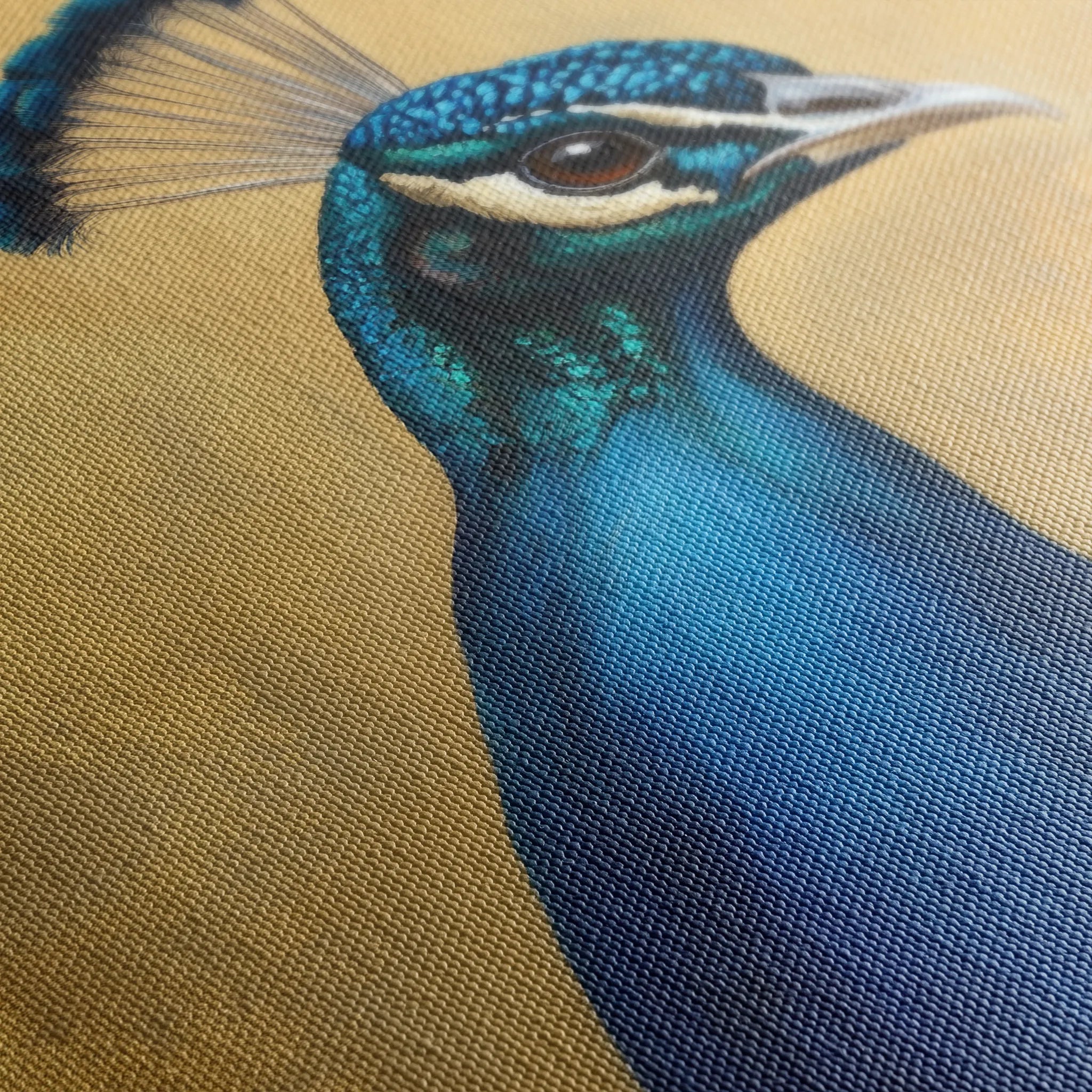Animals 165 Canvas Art 18" x 24" / 45 x 60 cm / Black
