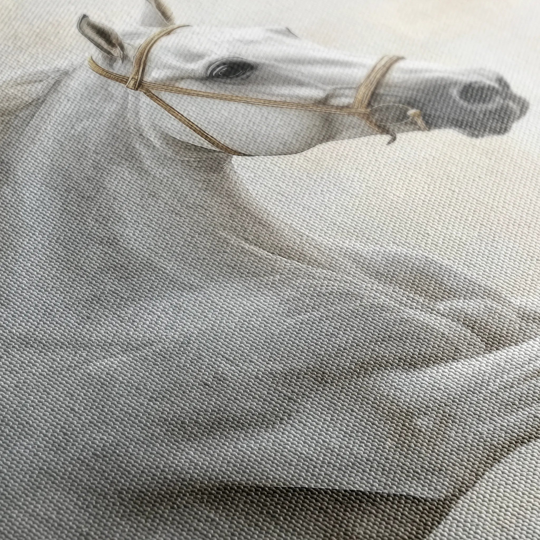 Horses 174 Canvas Art 18" x 24" / 45 x 60 cm / Black