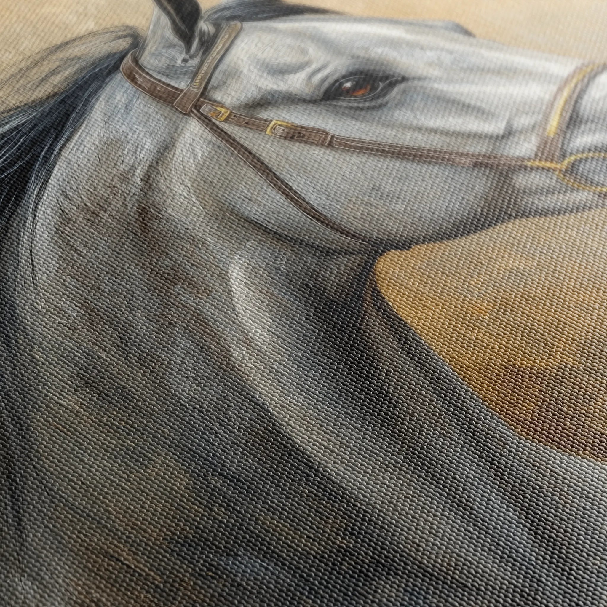 Horses 181 Canvas Art 18" x 24" / 45 x 60 cm / Black