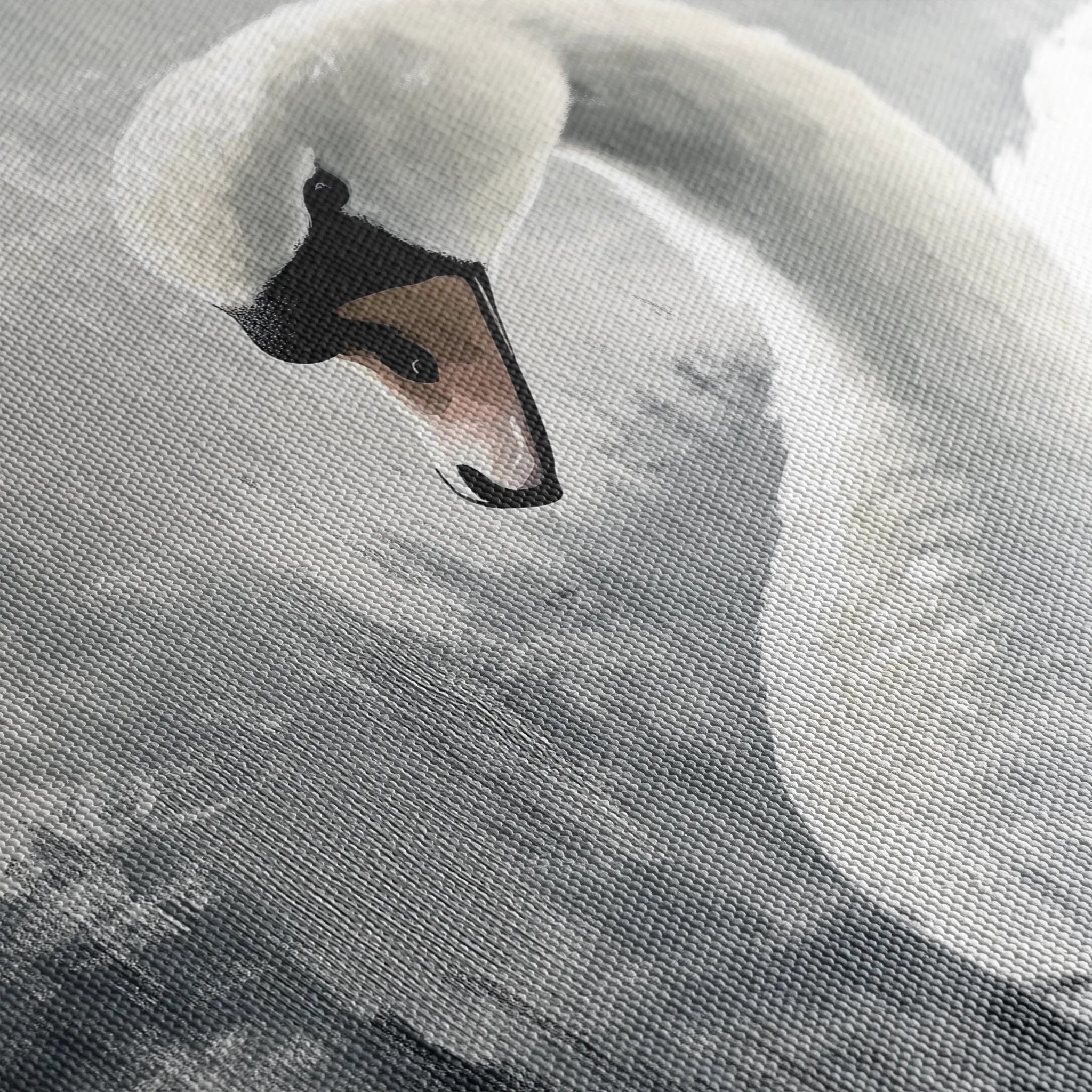 Animals 191 Canvas Art 18" x 24" / 45 x 60 cm / Black
