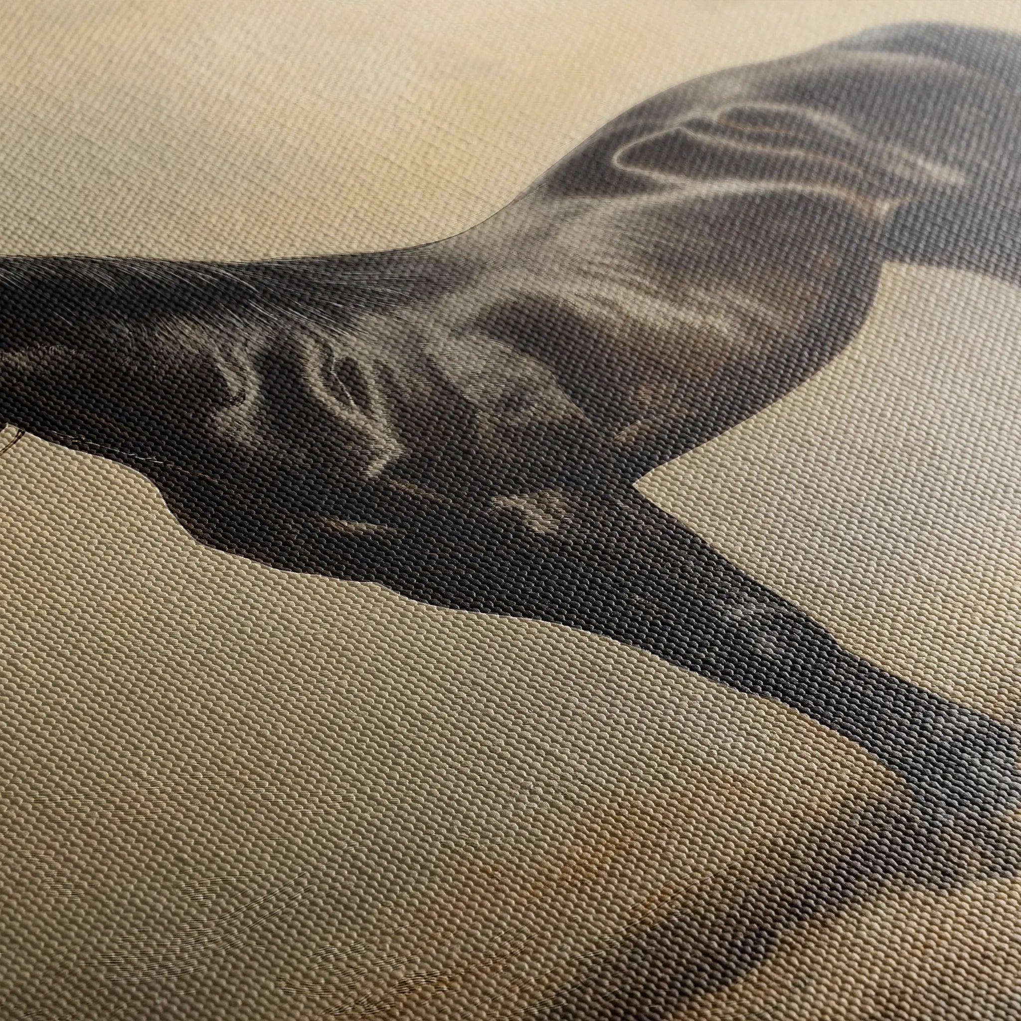 Horses 199 Canvas Art 18" x 24" / 45 x 60 cm / Black