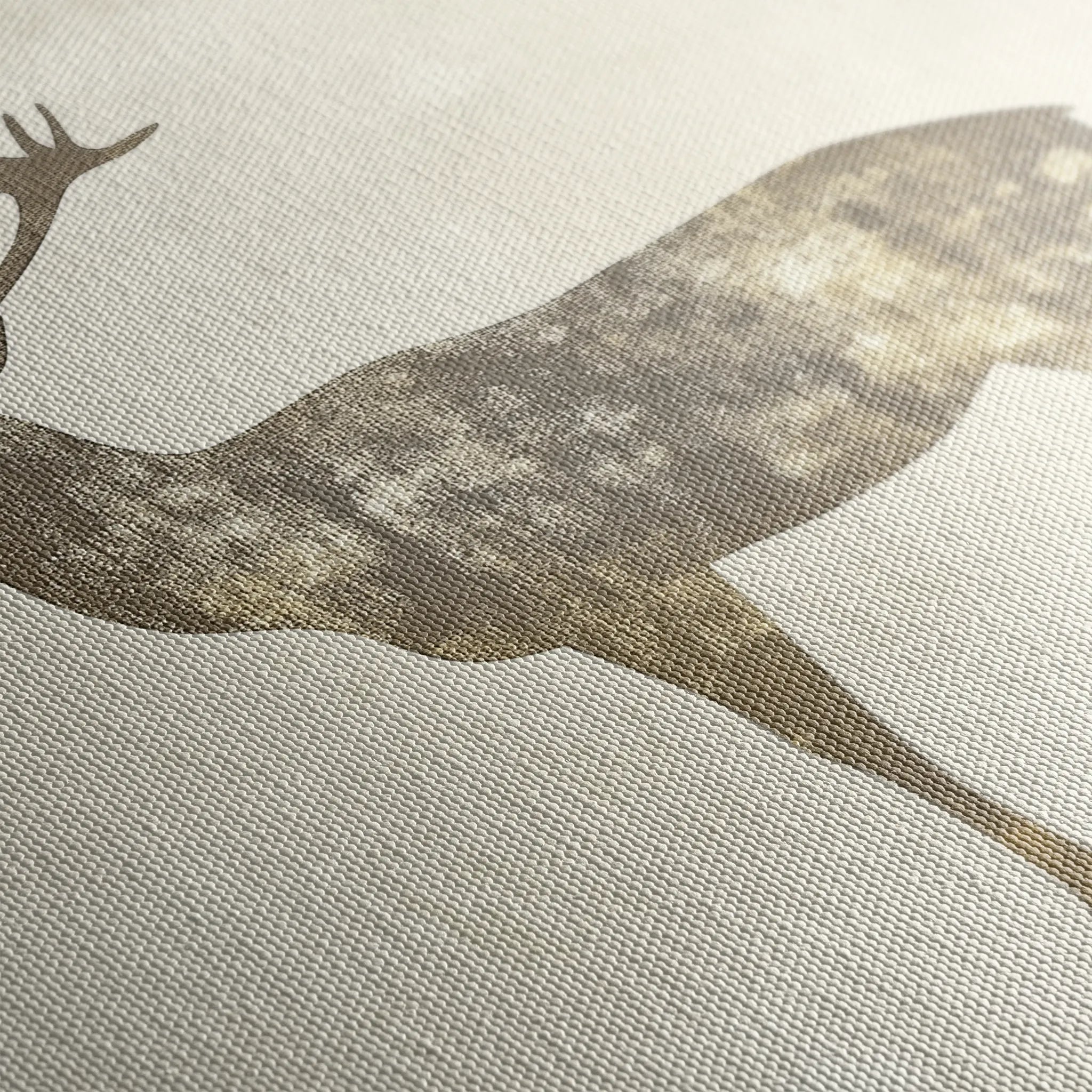 Animals 204 Canvas Art 18" x 24" / 45 x 60 cm / Black