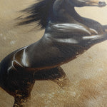 Horses 008 Canvas Art 18" x 24" / 45 x 60 cm / Black