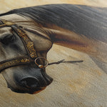 Horses 016 Canvas Art 18" x 24" / 45 x 60 cm / Black
