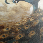 Animals 017 Canvas Art 18" x 24" / 45 x 60 cm / Black
