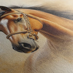 Horses 018 Canvas Art 18" x 24" / 45 x 60 cm / Black