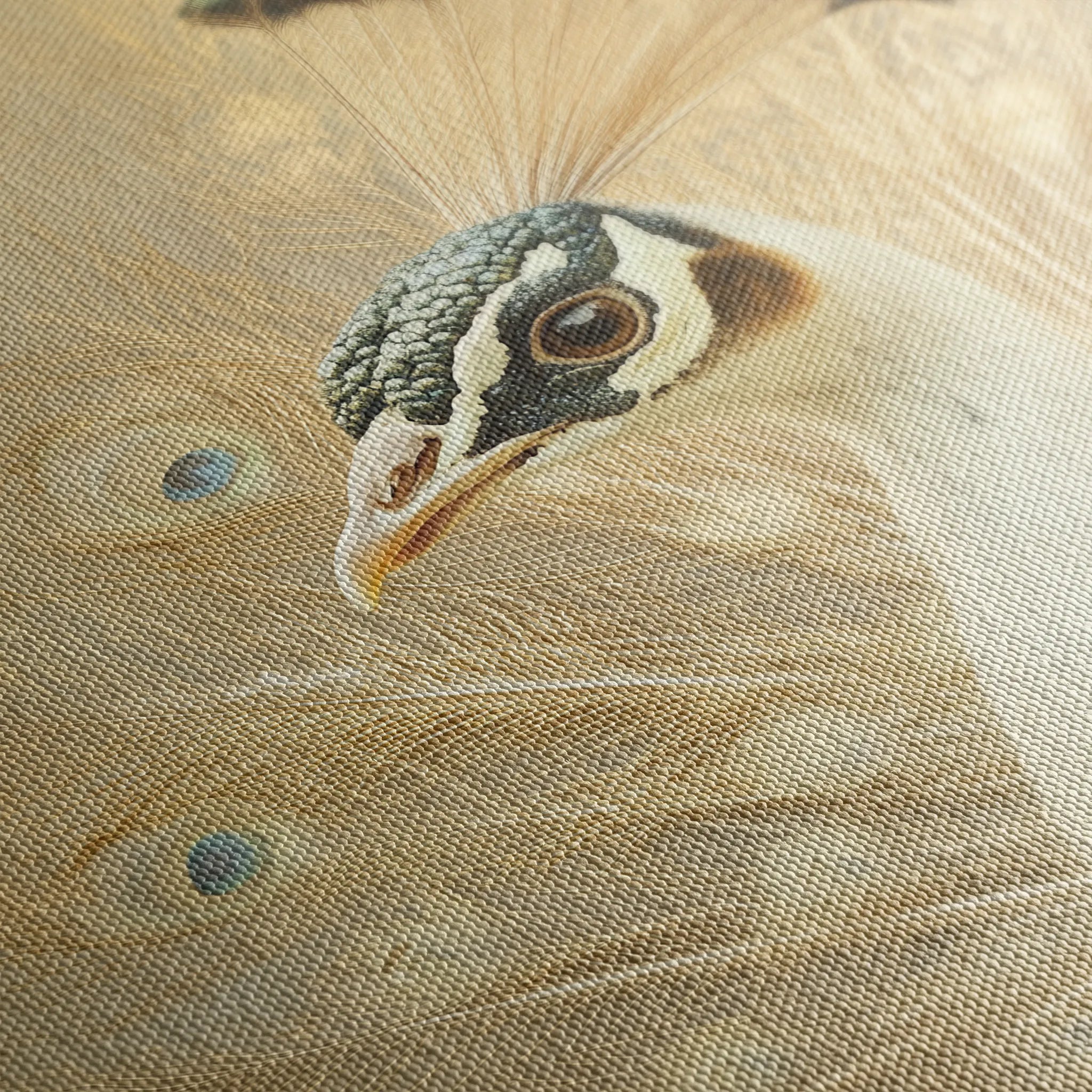 Animals 019 Canvas Art 18" x 24" / 45 x 60 cm / Black