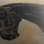 Horses 019 Canvas Art 18" x 24" / 45 x 60 cm / Black