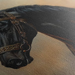 Horses 019 Canvas Art 60 x 40 cm / Black