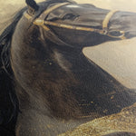 Horses 020 Canvas Art 18" x 24" / 45 x 60 cm / Black