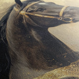 Horses 020 Canvas Art 18" x 24" / 45 x 60 cm / Black