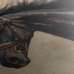 Horses 023 Canvas Art 18" x 24" / 45 x 60 cm / Black