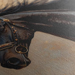 Horses 023 Canvas Art 60 x 40 cm / Black