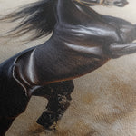 Horses 024 Canvas Art 18" x 24" / 45 x 60 cm / Black