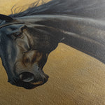 Horses 030 Canvas Art 18" x 24" / 45 x 60 cm / Black