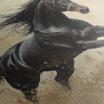 Horses 034 Canvas Art 18" x 24" / 45 x 60 cm / Black
