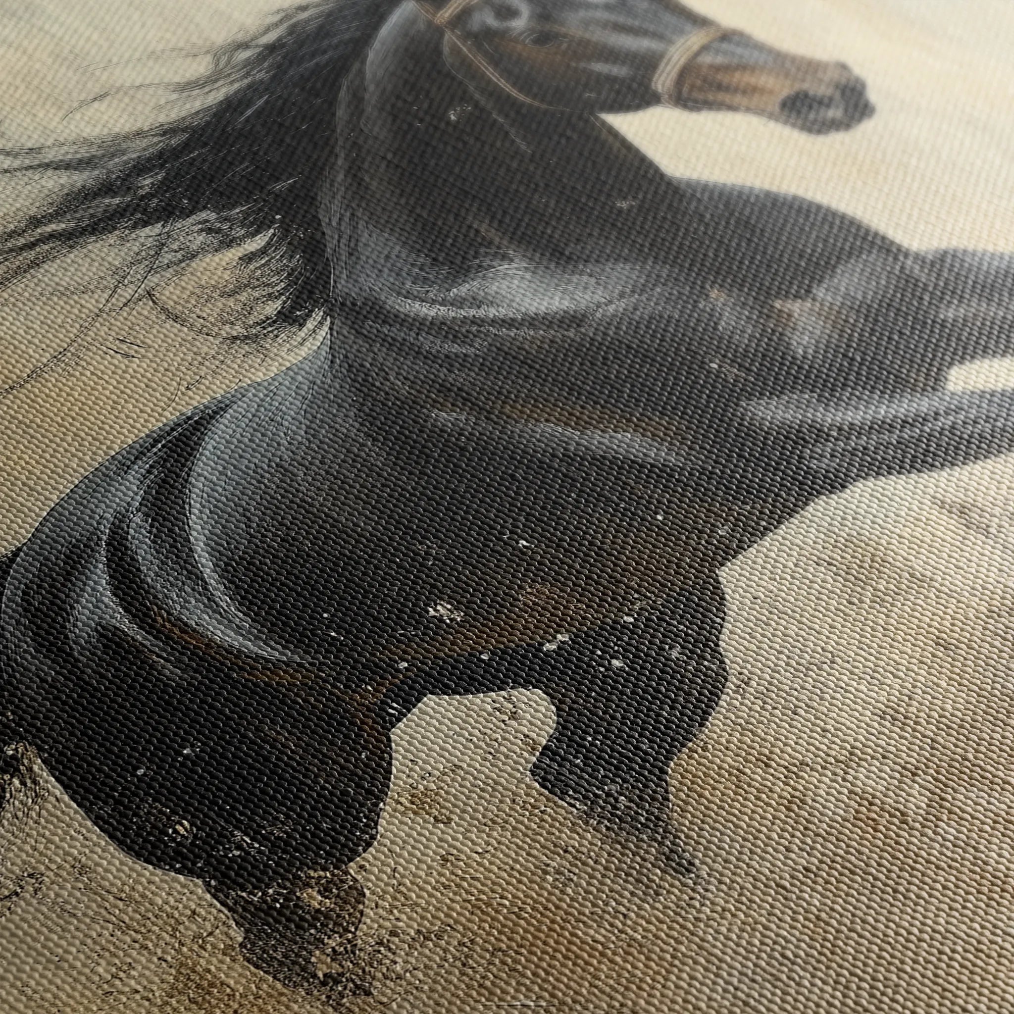 Horses 034 Canvas Art 18" x 24" / 45 x 60 cm / Black