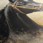 Horses 039 Canvas Art 18" x 24" / 45 x 60 cm / Black