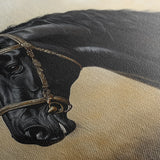 Horses 040 Canvas Art 18" x 24" / 45 x 60 cm / Black