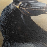 Horses 041 Canvas Art 18" x 24" / 45 x 60 cm / Black
