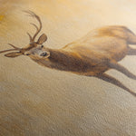 Animals 065 Canvas Art 18" x 24" / 45 x 60 cm / Black
