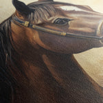 Horses 067 Canvas Art 18" x 24" / 45 x 60 cm / Black