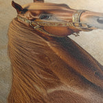 Horses 072 Canvas Art 18" x 24" / 45 x 60 cm / Black