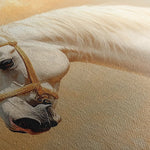 Horses 077 Canvas Art 60 x 40 cm / Black