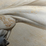 Horses 078 Canvas Art 18" x 24" / 45 x 60 cm / Black