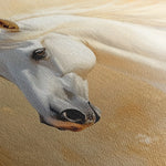 Horses 082 Canvas Art 60 x 40 cm / Black