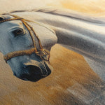 Horses 085 Canvas Art 60 x 40 cm / Black