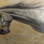 Horses 089 Canvas Art 18" x 24" / 45 x 60 cm / Black
