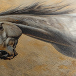 Horses 089 Canvas Art 60 x 40 cm / Black