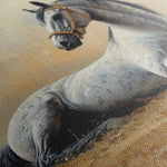 Horses 090 Canvas Art 60 x 40 cm / Black