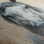 Horses 097 Canvas Art 18" x 24" / 45 x 60 cm / Black