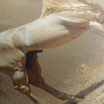 Horses 098 Canvas Art 18" x 24" / 45 x 60 cm / Black