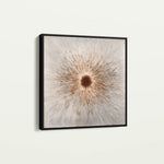 Abstract 1035 Canvas Art 16" x 16" / 40 x 40 cm / Black