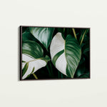 Floral 1085 Canvas Art 18" x 24" / 45 x 60 cm / Black