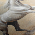 Horses 109 Canvas Art 60 x 40 cm / Black