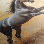 Horses 120 Canvas Art 60 x 40 cm / Black