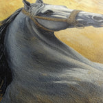 Horses 121 Canvas Art 18" x 24" / 45 x 60 cm / Black