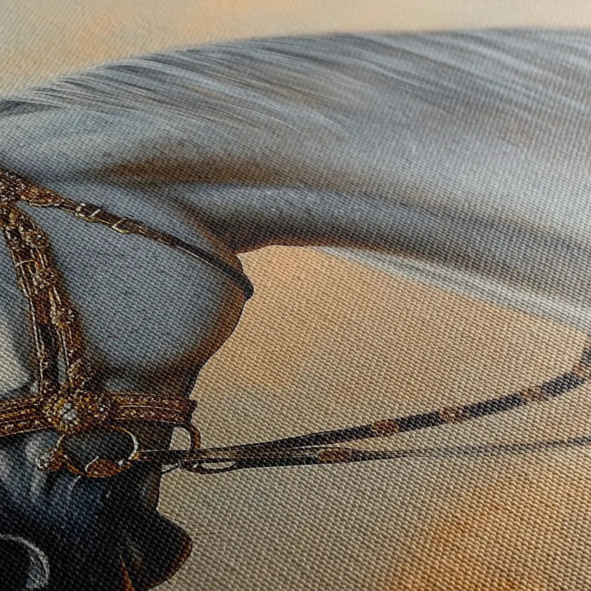 Horses 124 Canvas Art 60 x 40 cm / Black