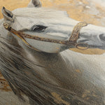Horses 127 Canvas Art 18" x 24" / 45 x 60 cm / Black