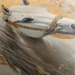 Horses 127 Canvas Art 60 x 40 cm / Black
