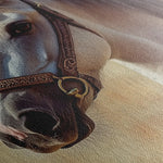 Horses 130 Canvas Art 60 x 40 cm / Black